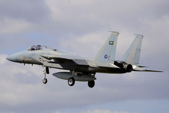 (c) by Marcel Bartwicki