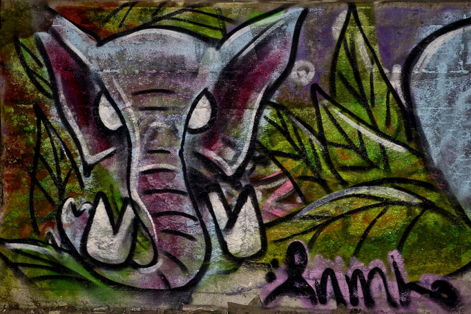 (c) by Marcel Bartwicki