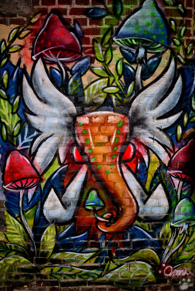 (c) by Marcel Bartwicki