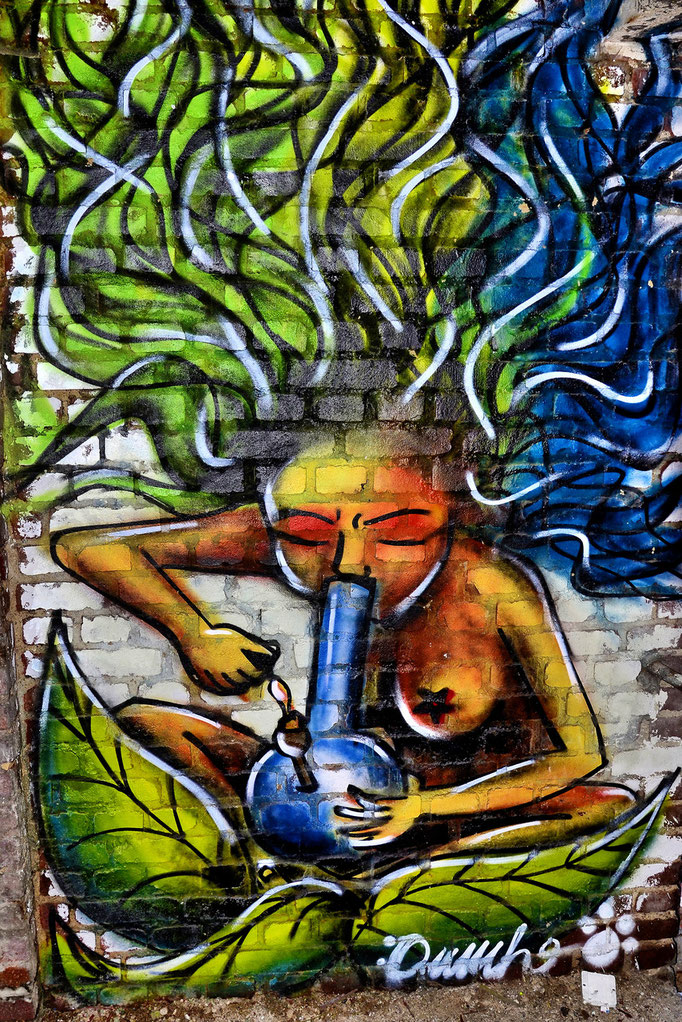 (c) by Marcel Bartwicki