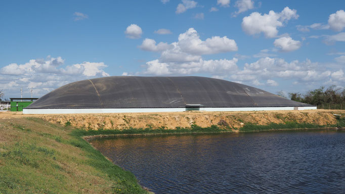 Biodigestor aprovechamiento de purines de cerdo y residuos de matadero - V = 4500 m3