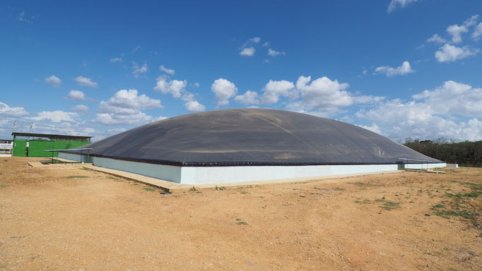 Biodigestor aprovechamiento de purines de cerdo y residuos de matadero - V = 4500 m3