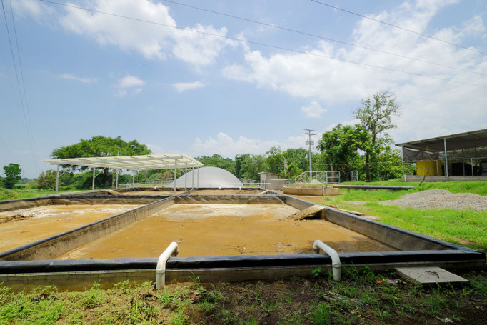 Planta de biogas - biodigestor biogas - covered lagoon digester - construido en El Salvador