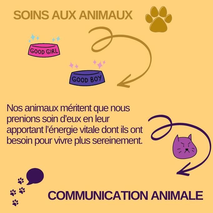 Soins animaux Communication animale