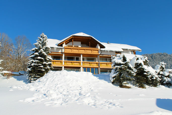 Haus Löger Apartments Balkone im Winter - Windischgarsten