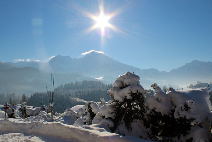 Aussicht aus dem Haus Löger Apartments - Windischgarsten