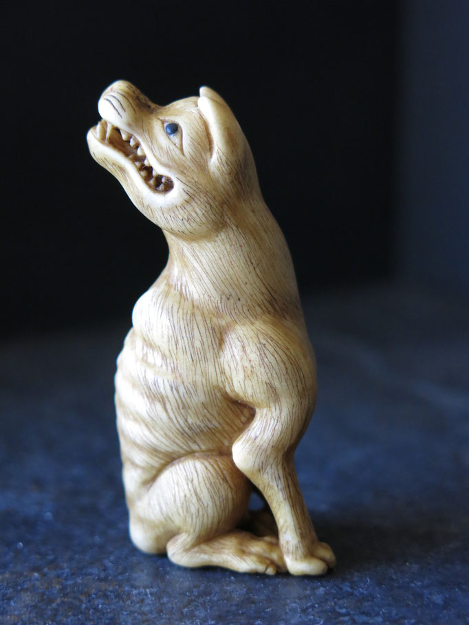 Ohkami / Japanese Wolf Netsuke / Deer Antler Carving /オオカミ根付