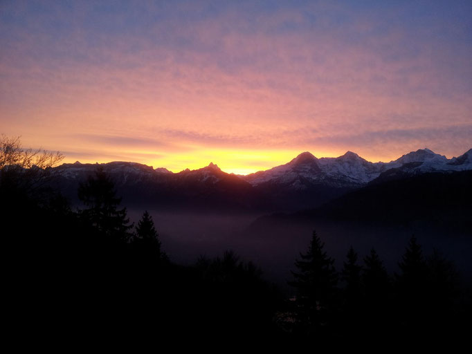 Sonnenaufgang über dem Jungfraumassiv, rechts sind Eiger, Mönch und Jungfrau