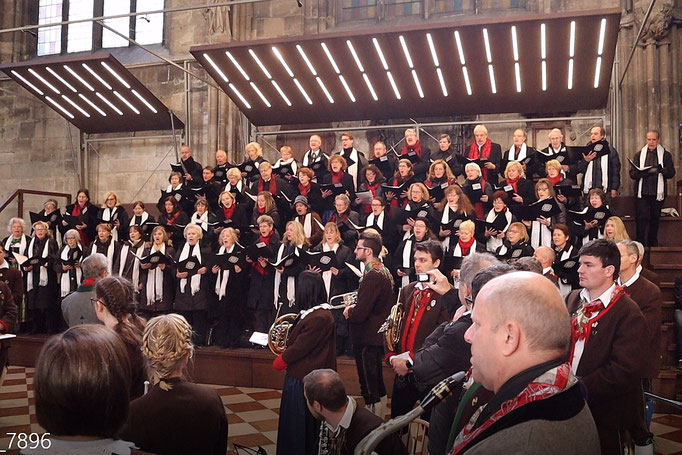 12. Jänner 2020: Mitwirkung bei der Andreas Hofer Gedächnismesse im Stephansdom