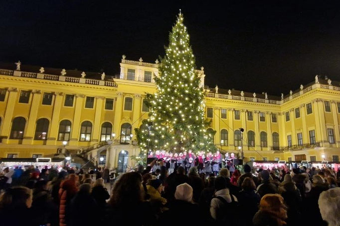 13.12.2023 Schönbrunn