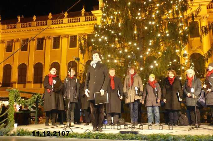 11.12.2107 Weihnachtsmarkt Schönbrunn