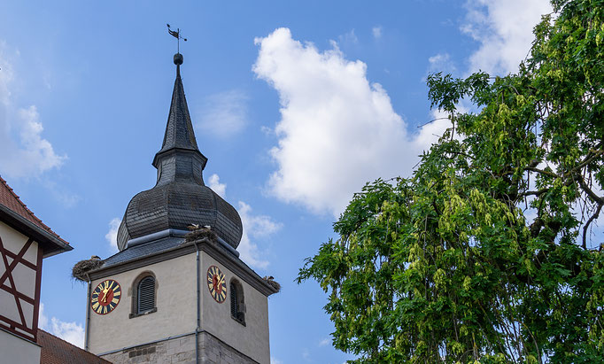 Storchennester auf dem Turm der St.-Johannis-Kirche in Ipsheim