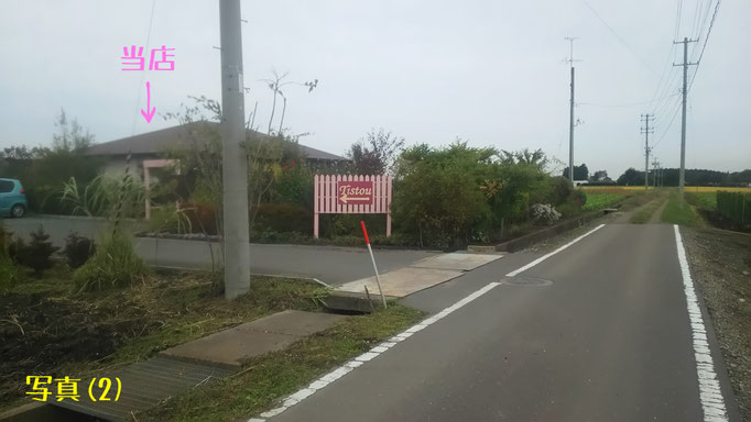 写真(2)