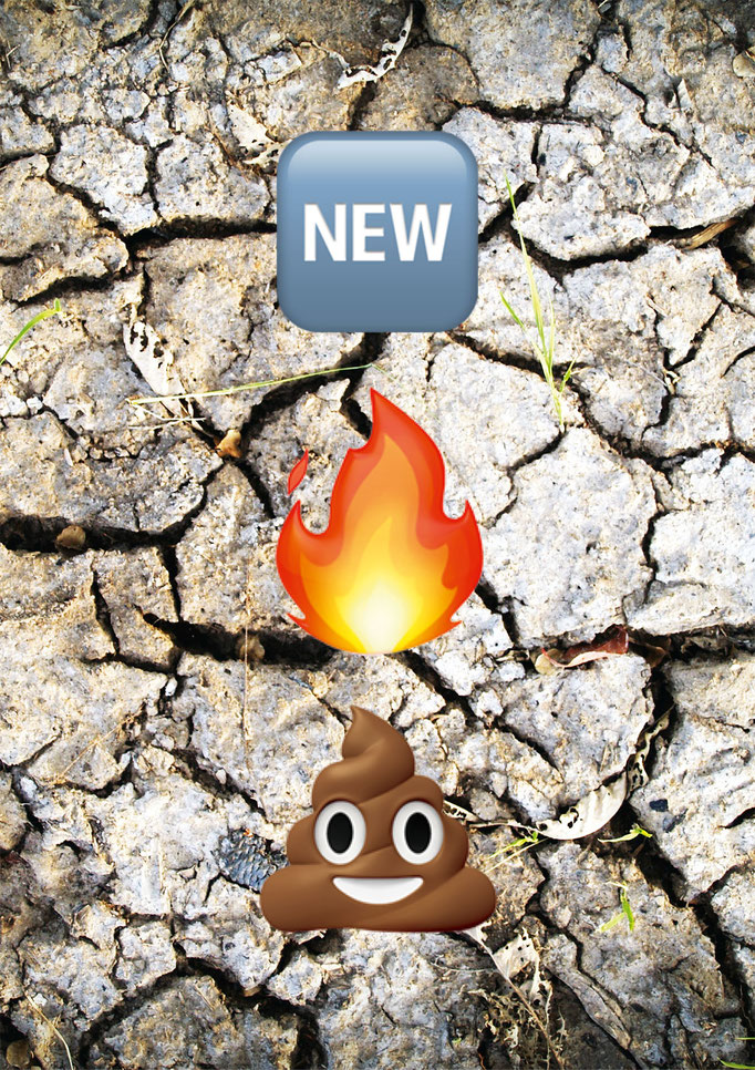 plakat „new hot shit"