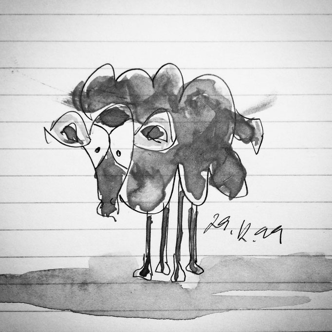sketch up