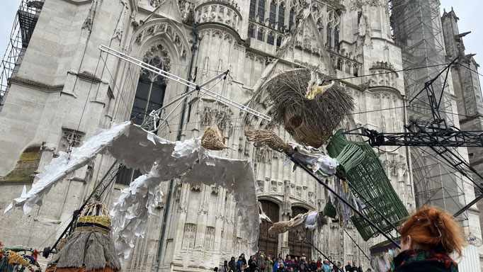 Plume 