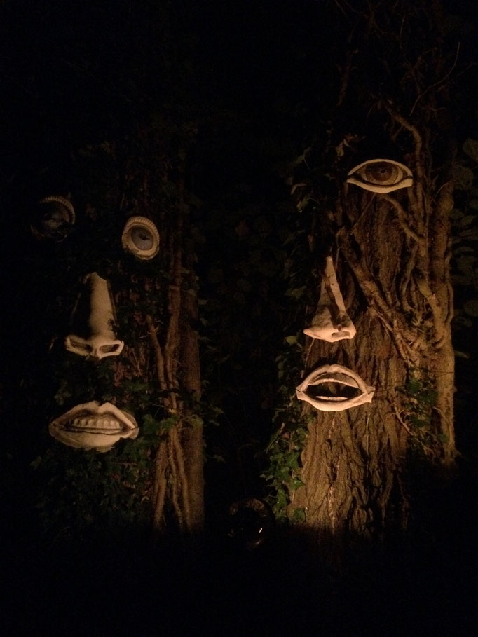 Les Noctambules