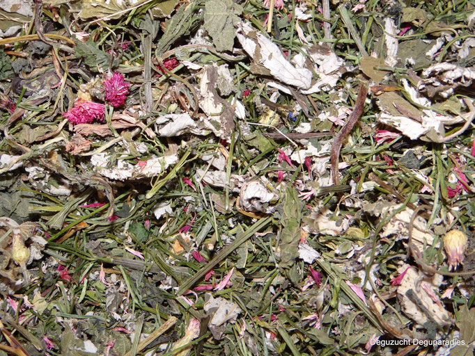 Zusammensetzung: Petersilienstiele, Himbeerblätter, Brennessel, Spitzwegerich, Löwenzahn, Kornblume Pink