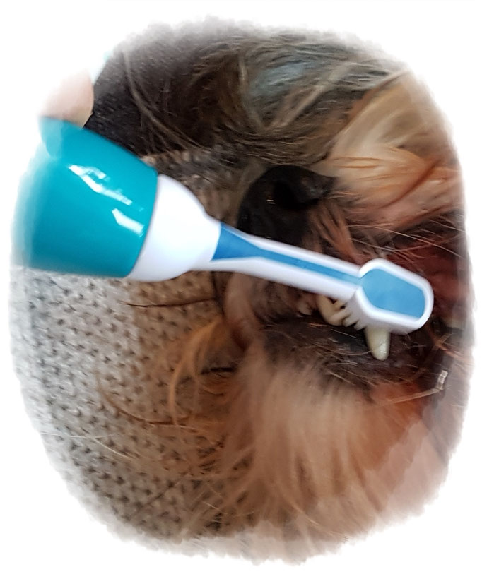 und findet die Zahncreme ganz toll