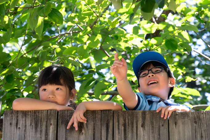 入選「初夏の日差しに包まれて」/氷室　暁麻/川崎第53団　ビーバー隊副長