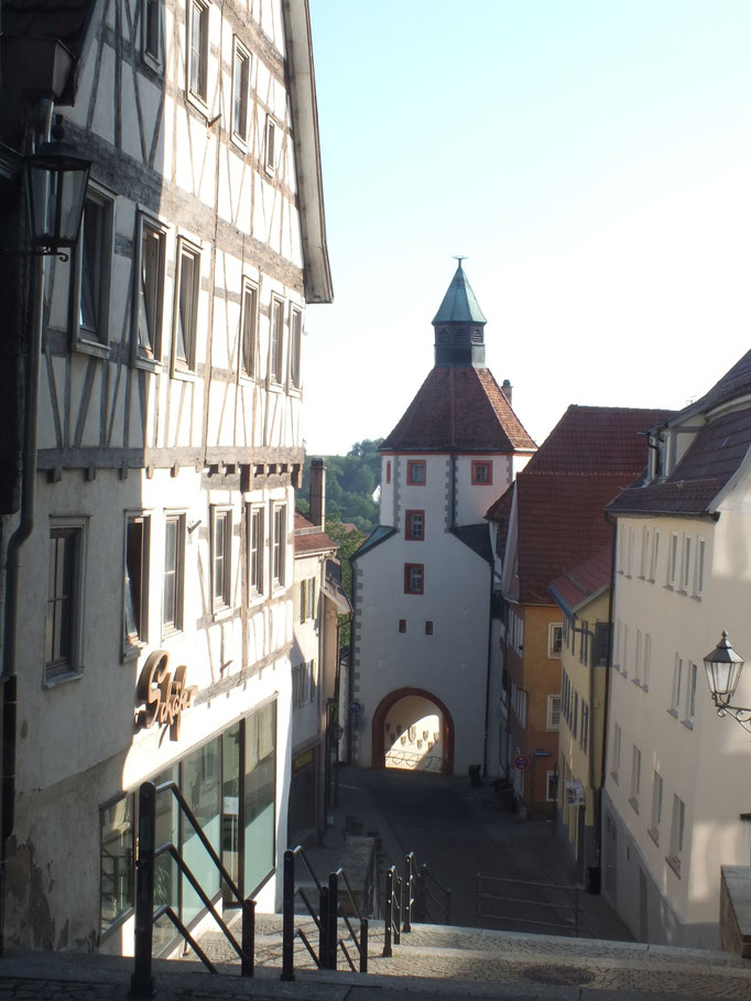 Altstadt (hinten: Unteres Tor)