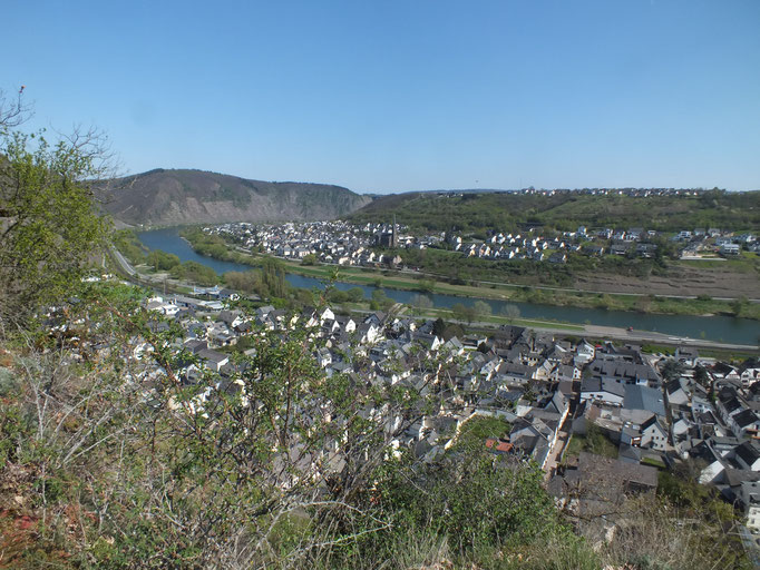 Blick vom Weg zwischen den Burgen auf die Mosel