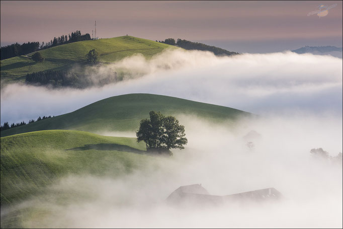 Morgenstimmung in Oberösterreich