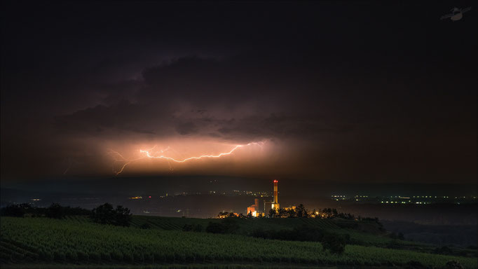 Theiß,Blickrichtung Norden 09.06.2018