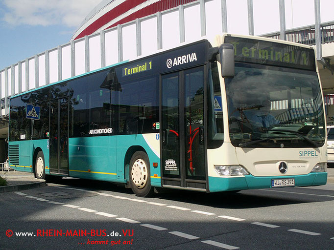 WI-RS 391 (#391)