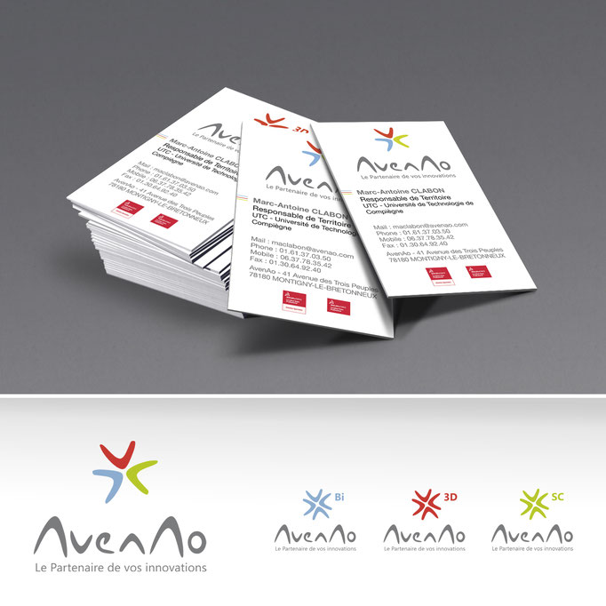 Logo  et déclinaison par entité - Groupe AVENAO - Pour l'agence Image Point Com