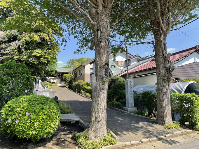 整えられた大木が美しい善昌寺には恵比寿様が祀られています。