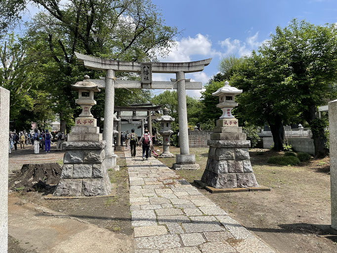 上瀬谷の若宮八幡宮。東名高速の敷地に重なるために昭和43(1968)年にここに遷宮。境内に入り鳥居を３つくぐって左に曲がると、南面する拝殿があります。