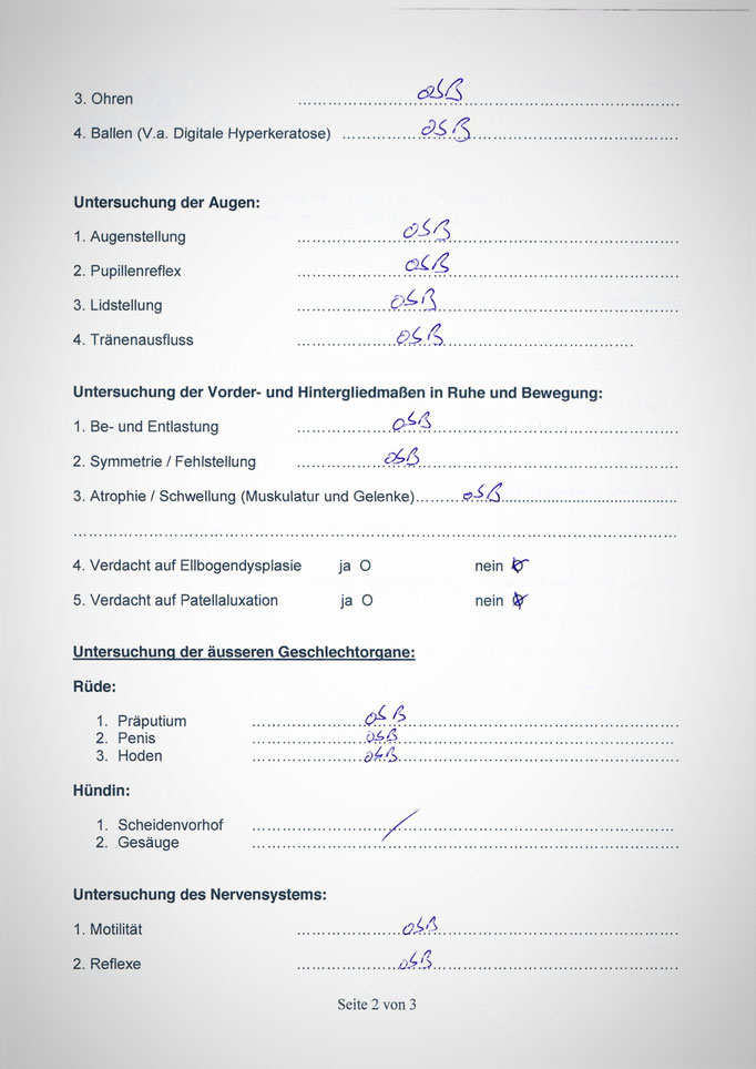 Kabous tierärztliche Untersuchung am 23.04.2015 anlässlich der damals geplanten Körung - 2. Seite