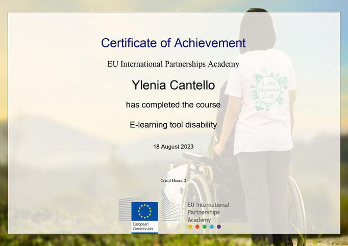 Course certificate E-learning tool disability