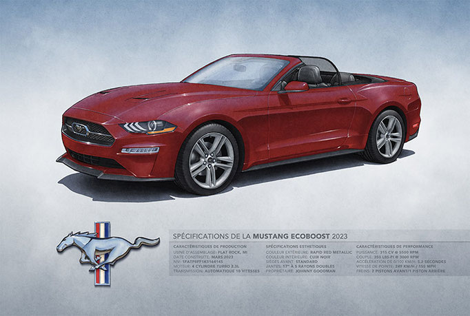 2019-2023 Mustang Ecoboost Convertible 