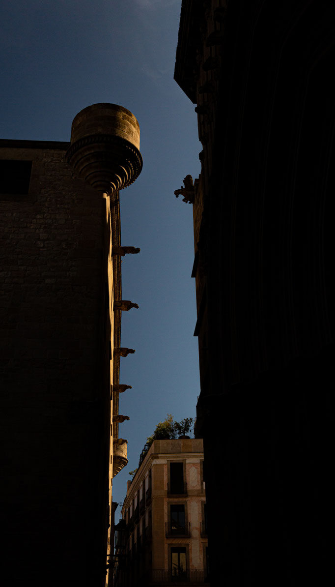 Barcelona, Palau del Lloctinent, 2019