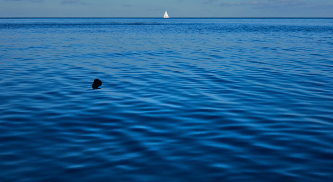 Germany, Baltic Sea, 2016