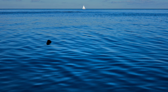 Germany, Baltic Sea, 2016