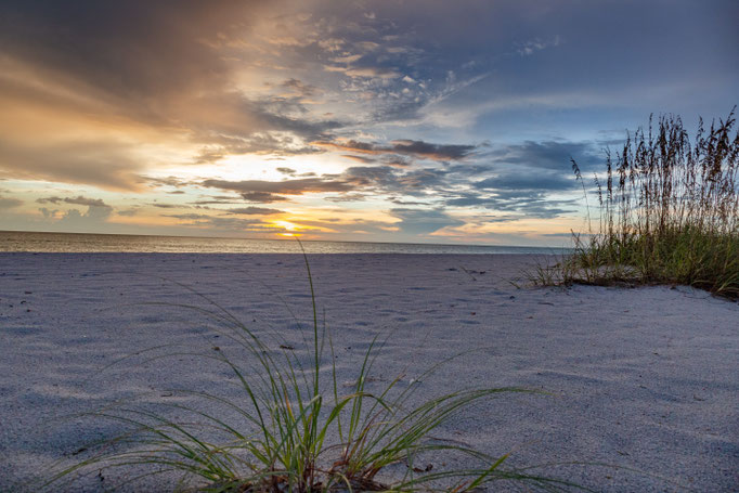 Florida, Anna-Maria Island, 2019