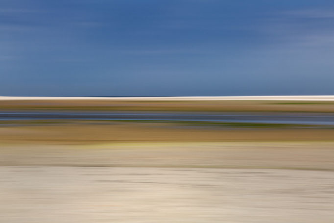 Texel, Netherlands, De Slufter National Park, 2014
