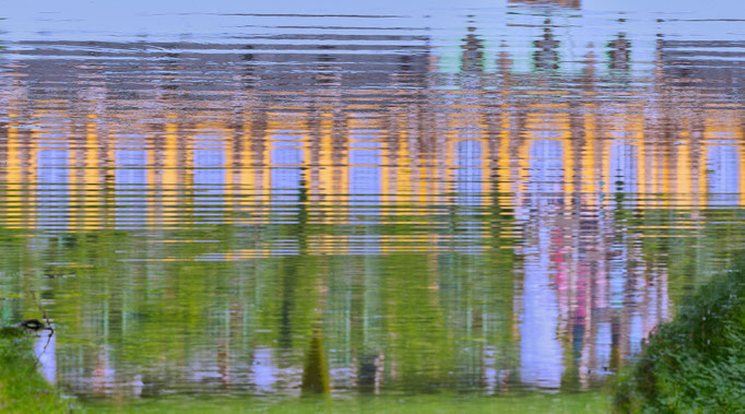 Potsdam, Sanssouci mirror image in a pond, 2015
