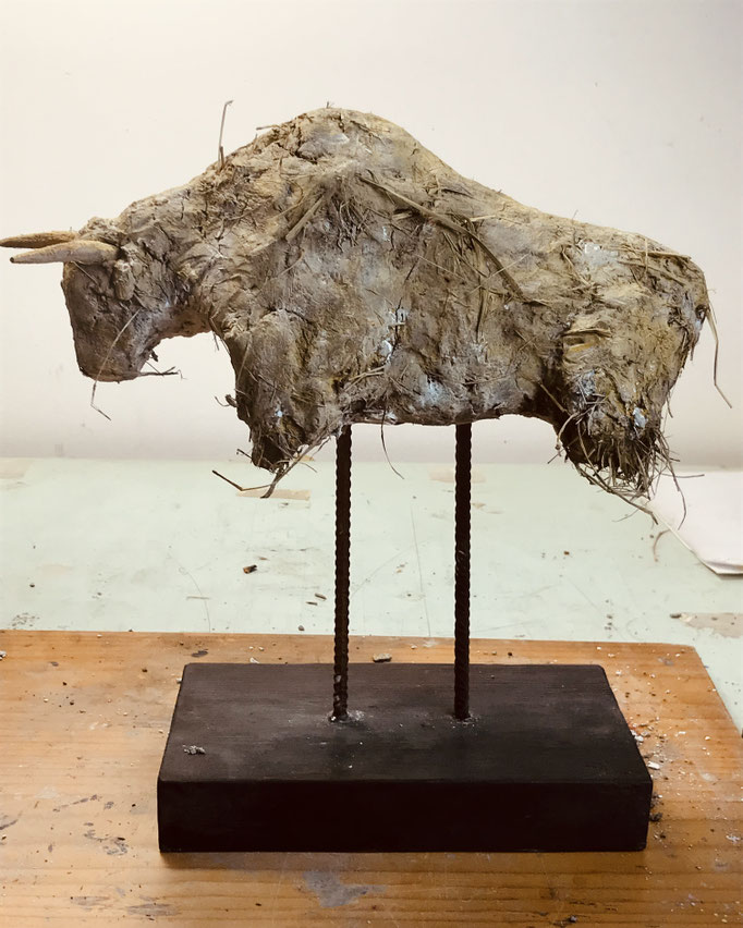 TORO