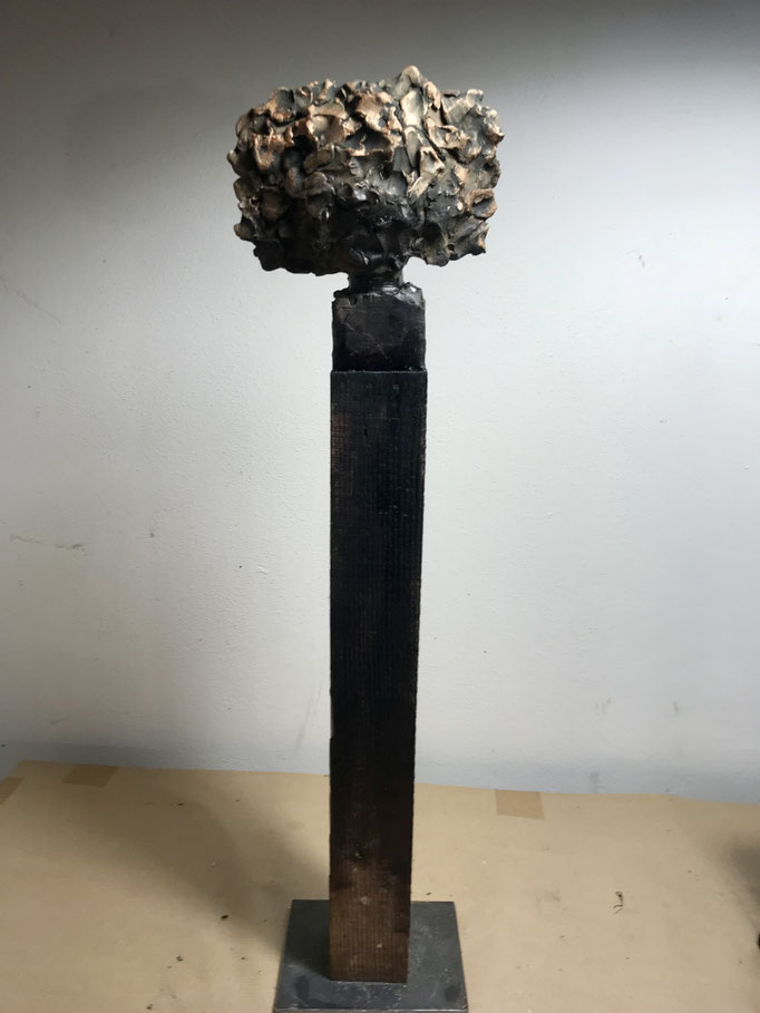 ALBERO SOLO