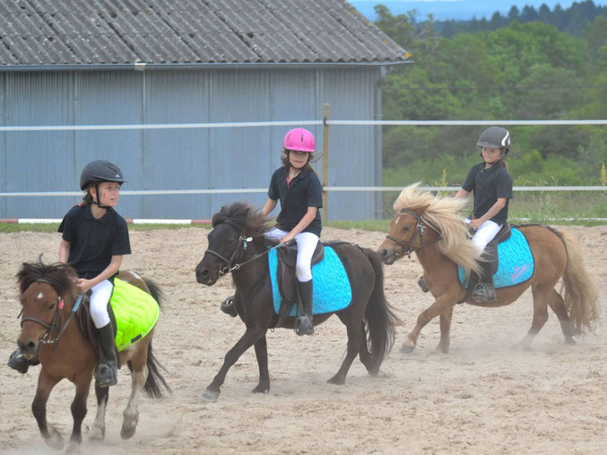 Domaine Equestre Du Theil