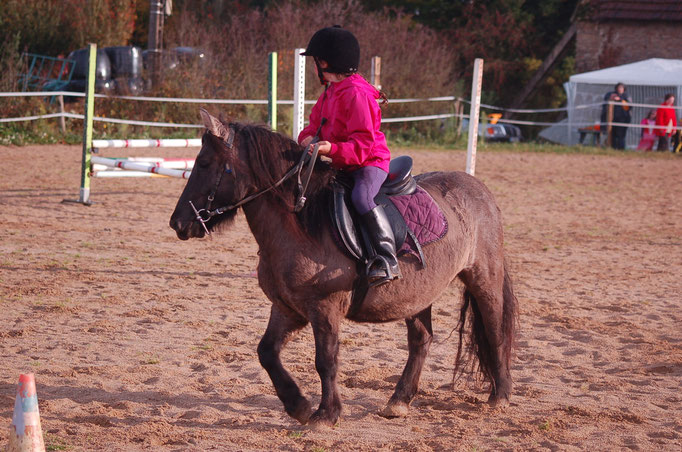 Equifun au Centre équestre Chez Trillauds - novembre 2014