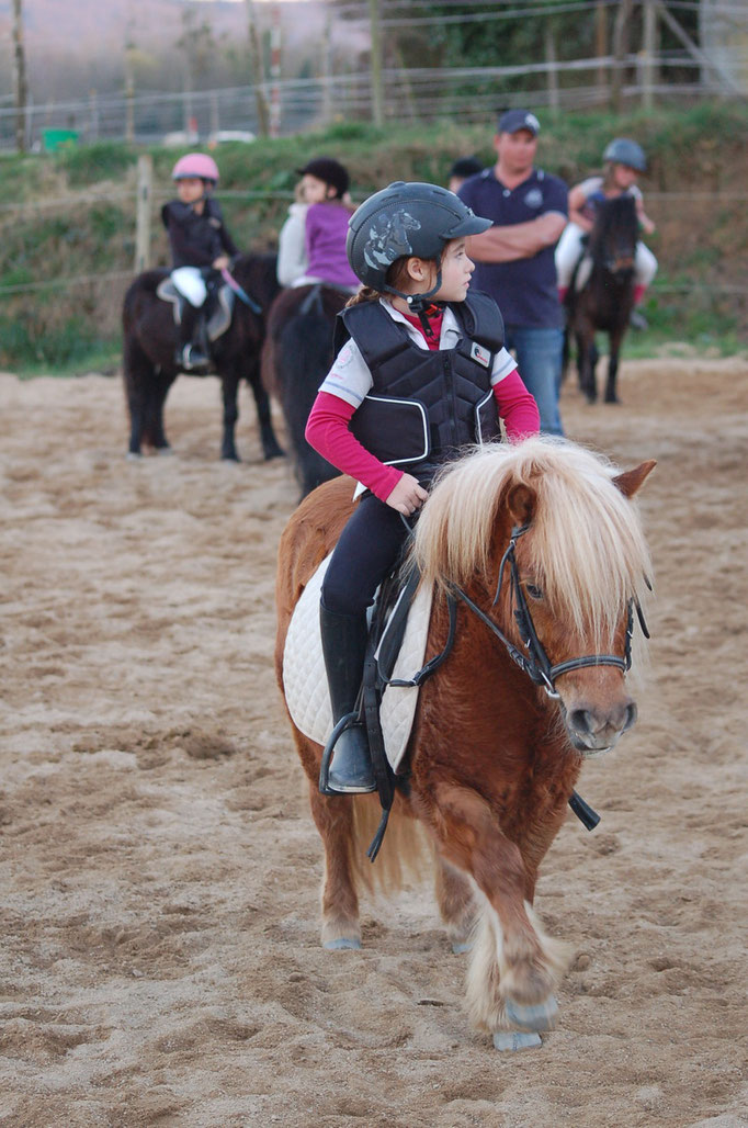 Concours Equifun CE de Vaux 16-03-14