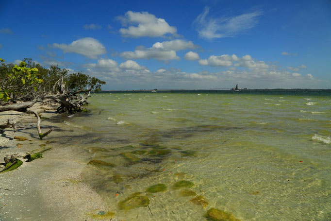 Lothar von Alm - Sanibel Island-Florida