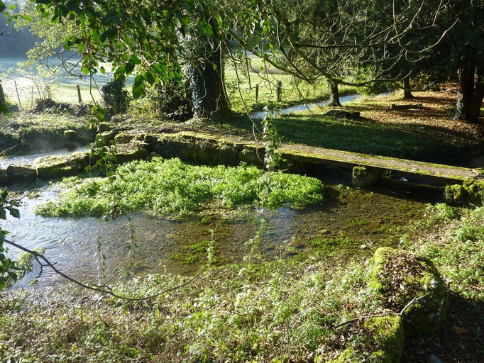 Séparation des flux