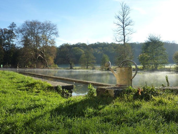 Arrosoir sur étang brumeux
