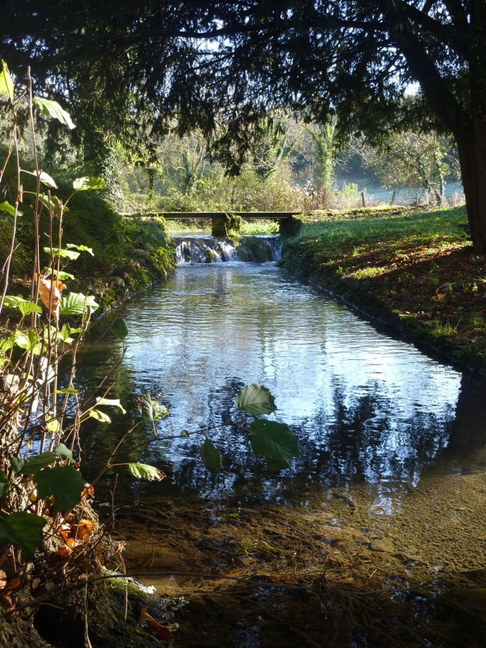 Canal de l'étang